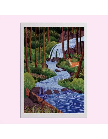 Hello Grimes Great Bear Rainforest A4 Print