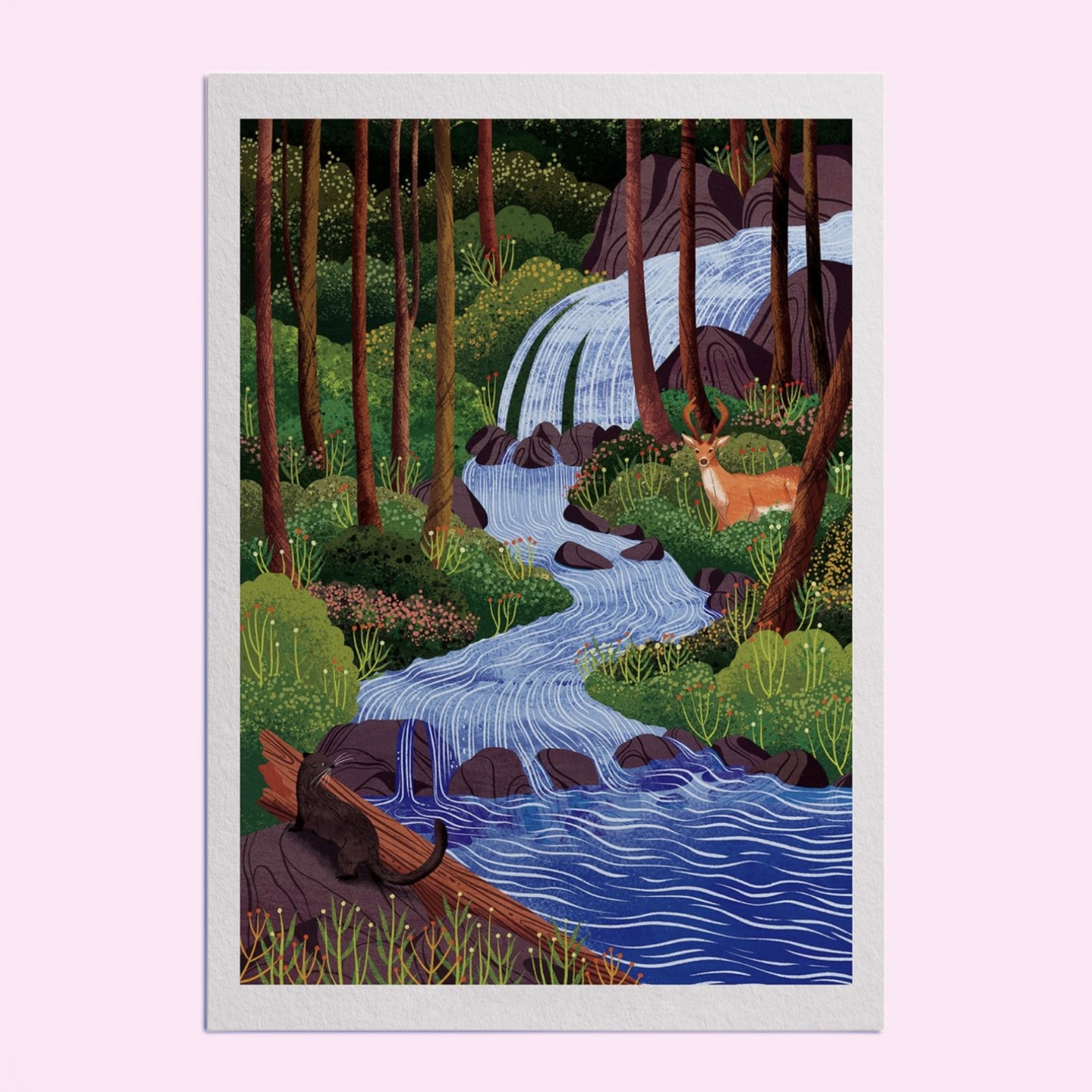 Hello Grimes Great Bear Rainforest A4 Print