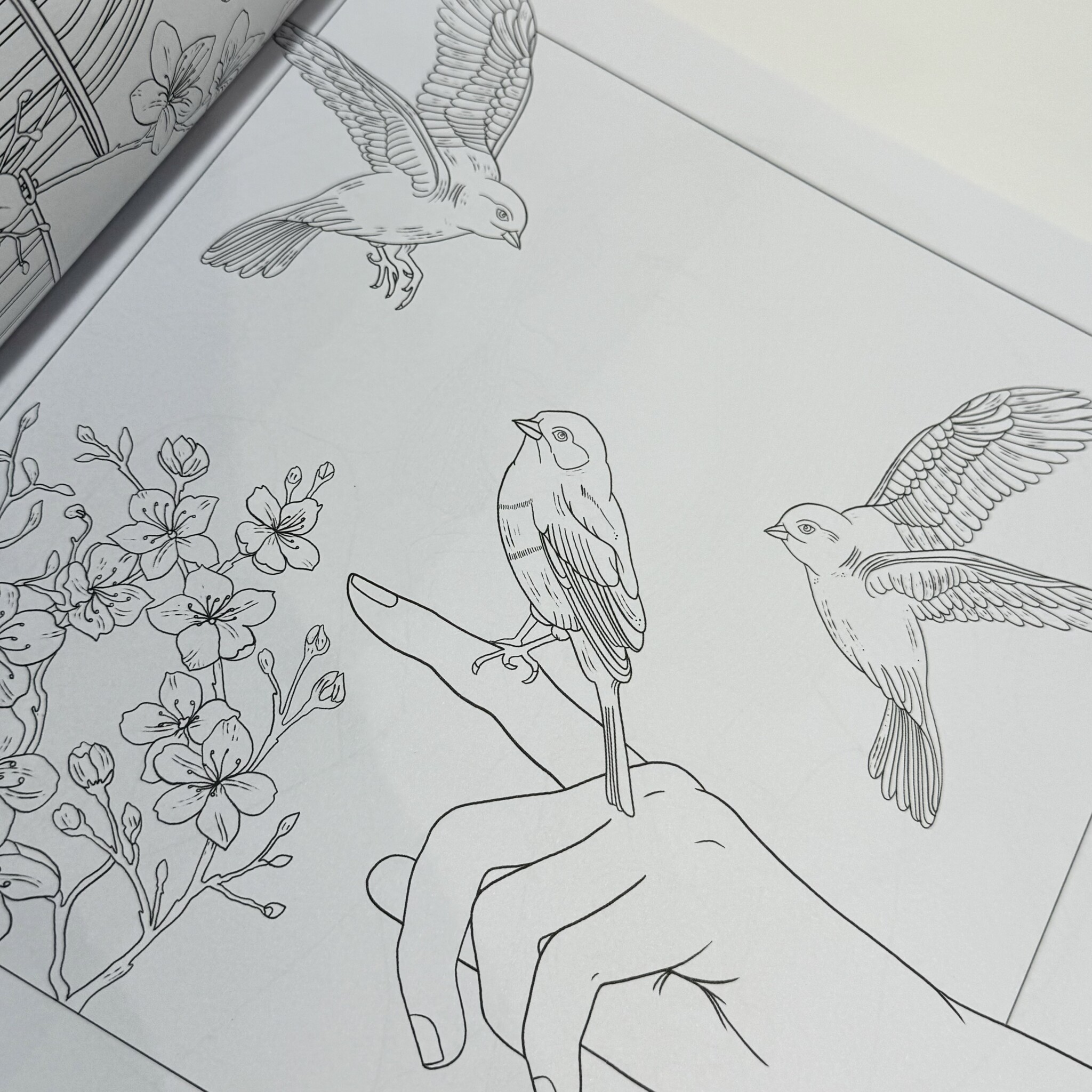 Bookspeed Mindful Moments