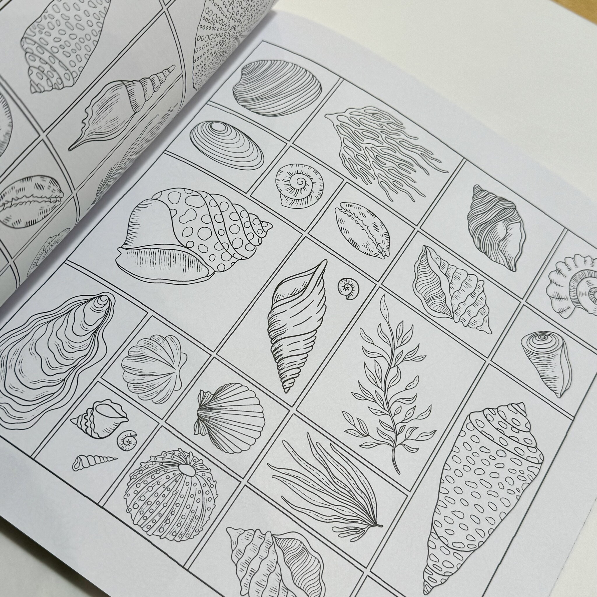 Bookspeed Mindful Moments