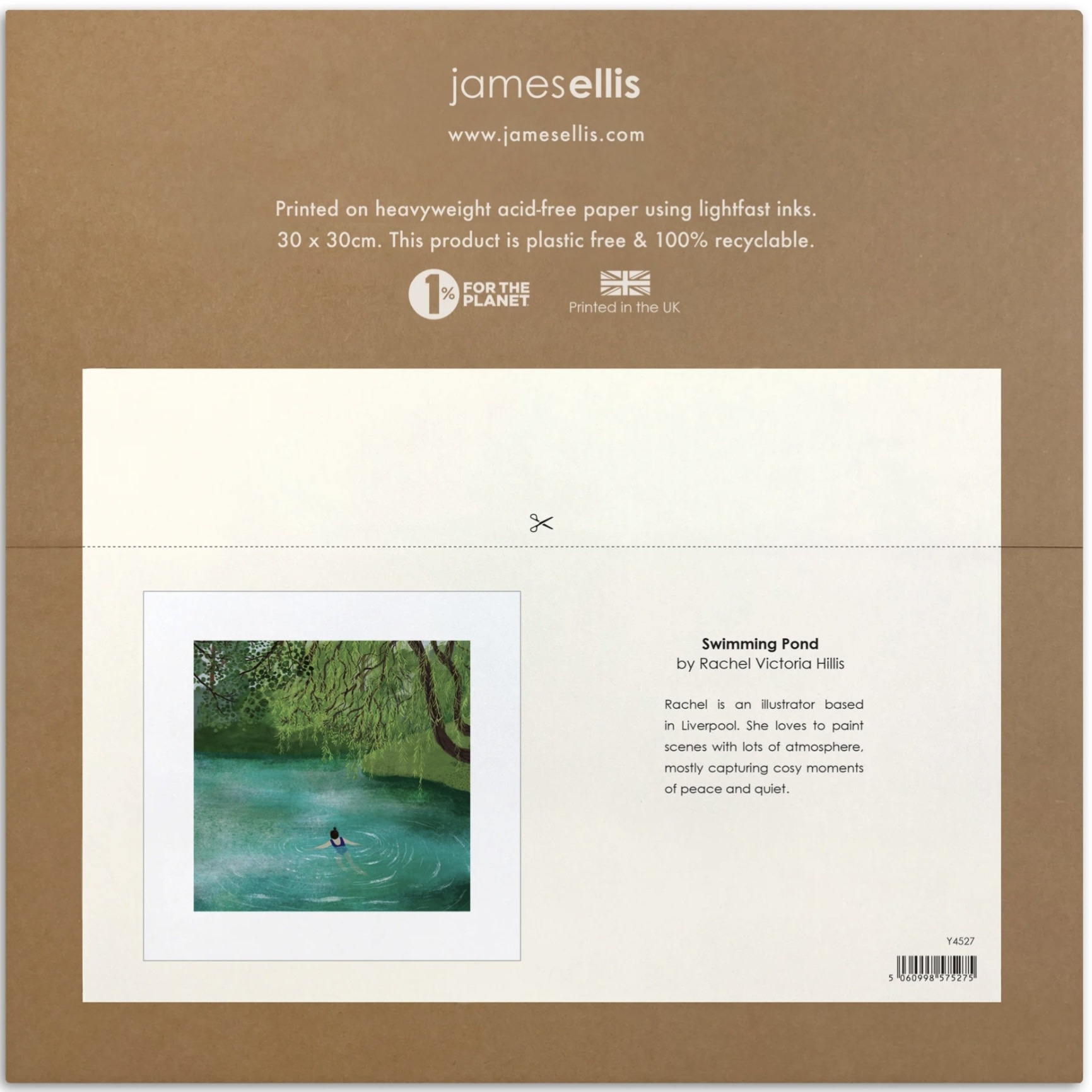 James Ellis Print Swimming Pond