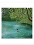 James Ellis Swimming Pond Print