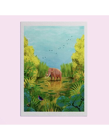 Hello Grimes Sumatran Elephant A4 Print