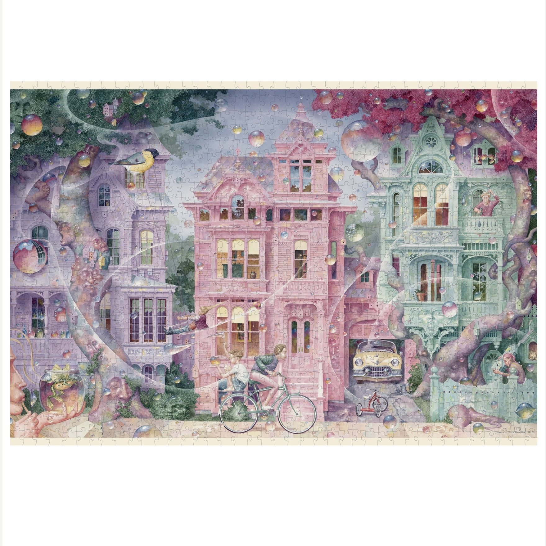 Pomegranate 1000 Piece Puzzle Bubble Street