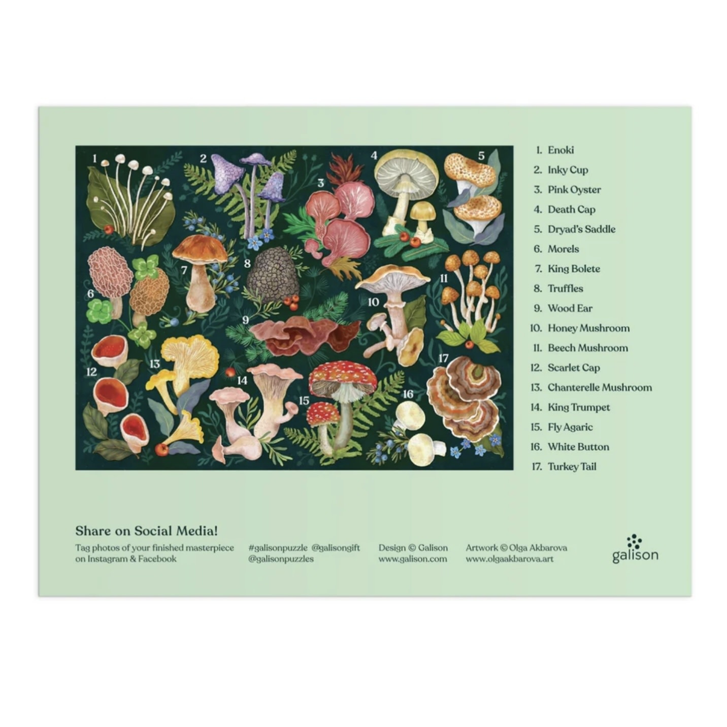 Galison 1000 Piece Puzzle World Of Mushrooms