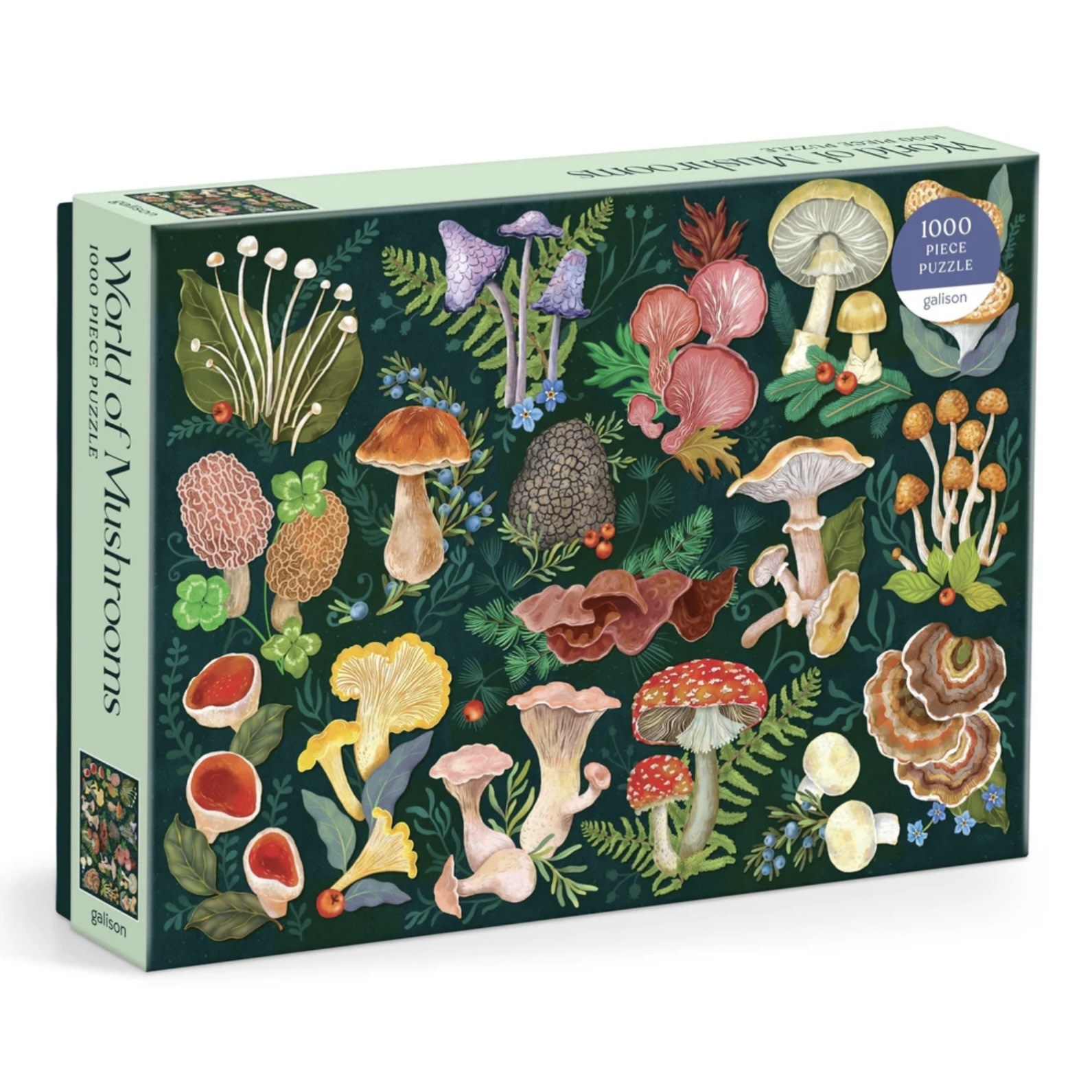 Galison 1000 Piece Puzzle World Of Mushrooms