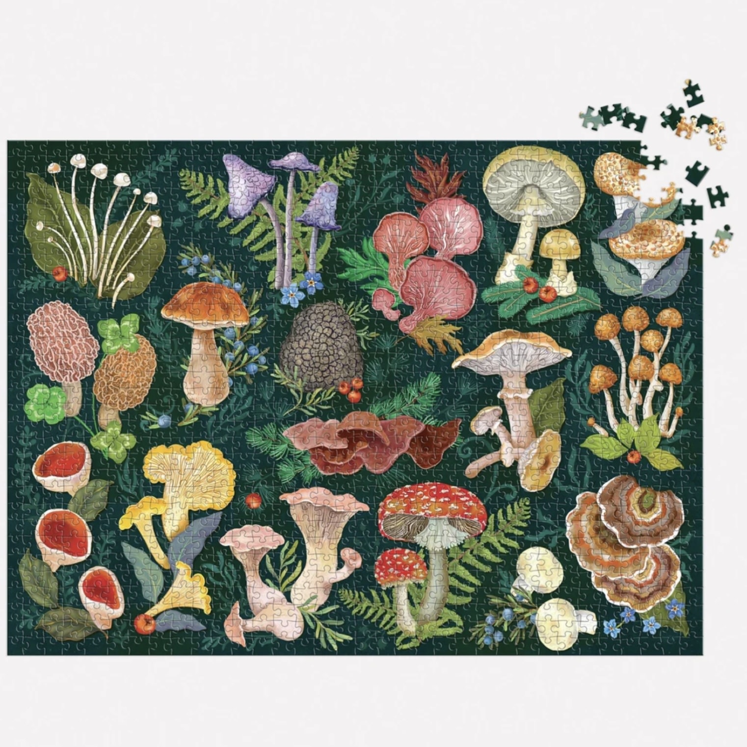 Galison 1000 Piece Puzzle World Of Mushrooms