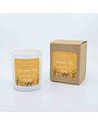 LakelandLights Pumpkin Pike Soy Candle