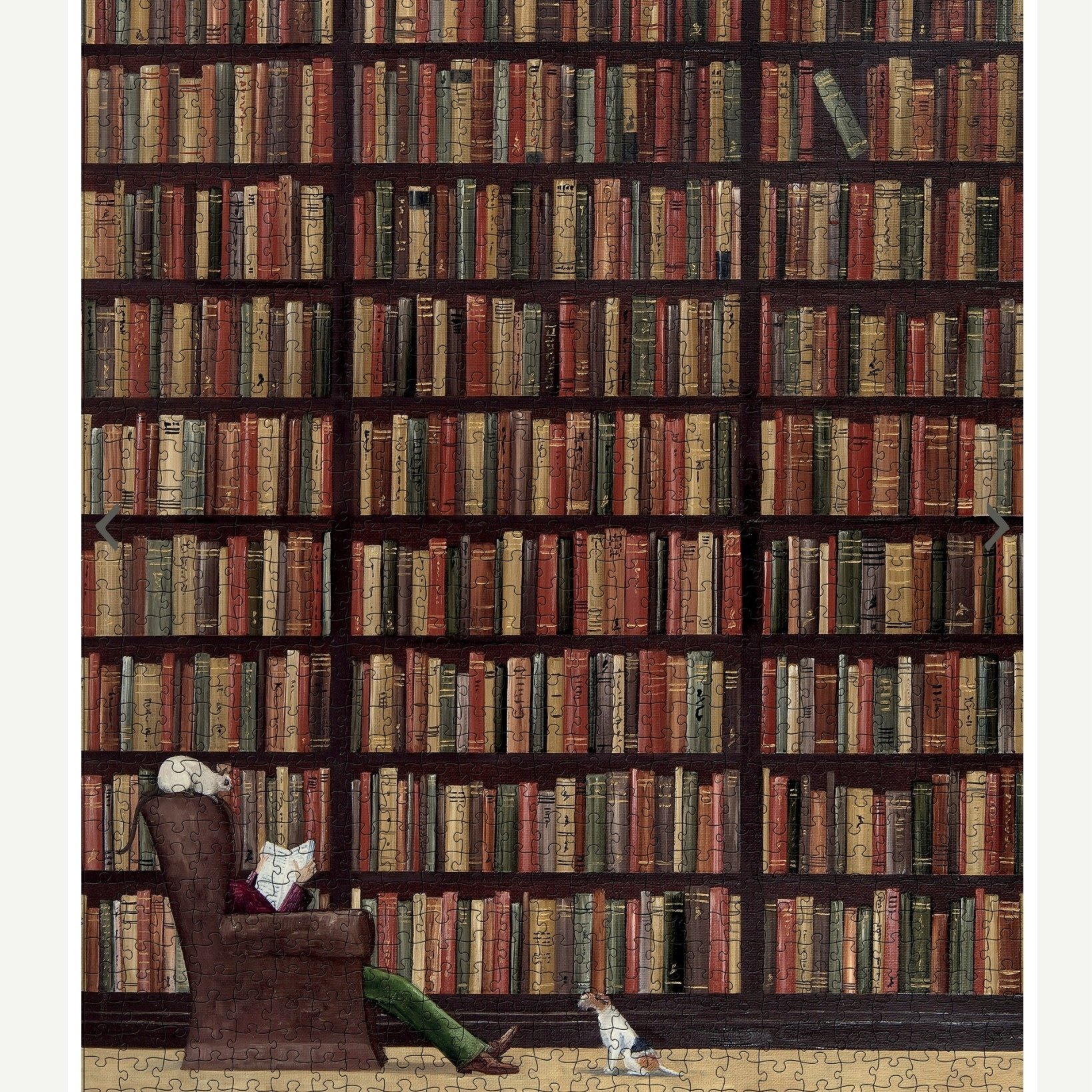 Pomegranate 1000 Piece Puzzle Do Not Disturb