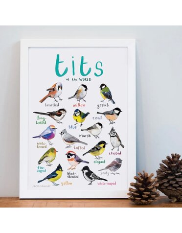 Sarah Edmonds Tits of The World Print A4