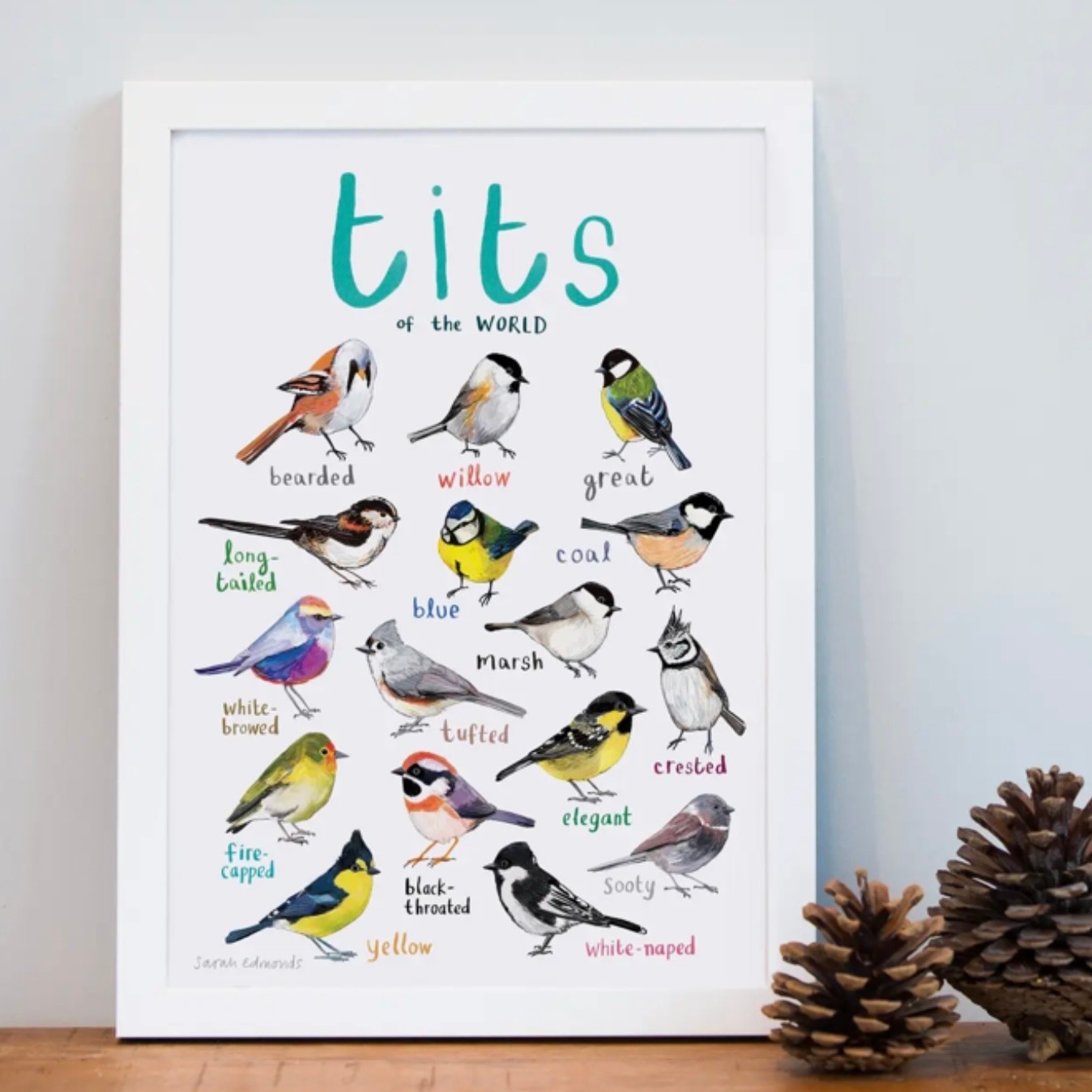 Sarah Edmonds Tits of The World Print A4
