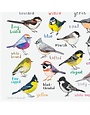 Sarah Edmonds Tits of The World Print A4