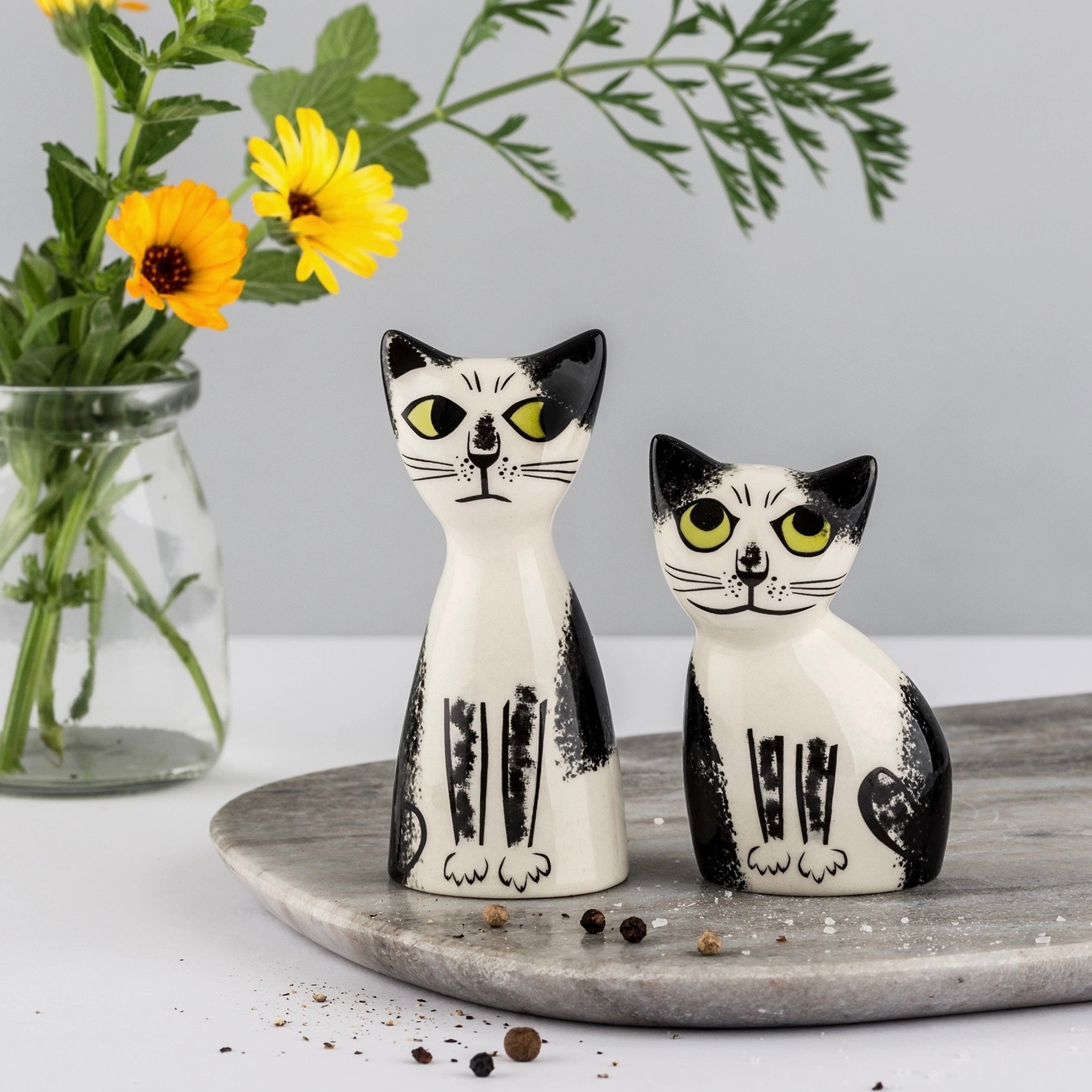 Hannah Turner Salt And Pepper Black White Cats