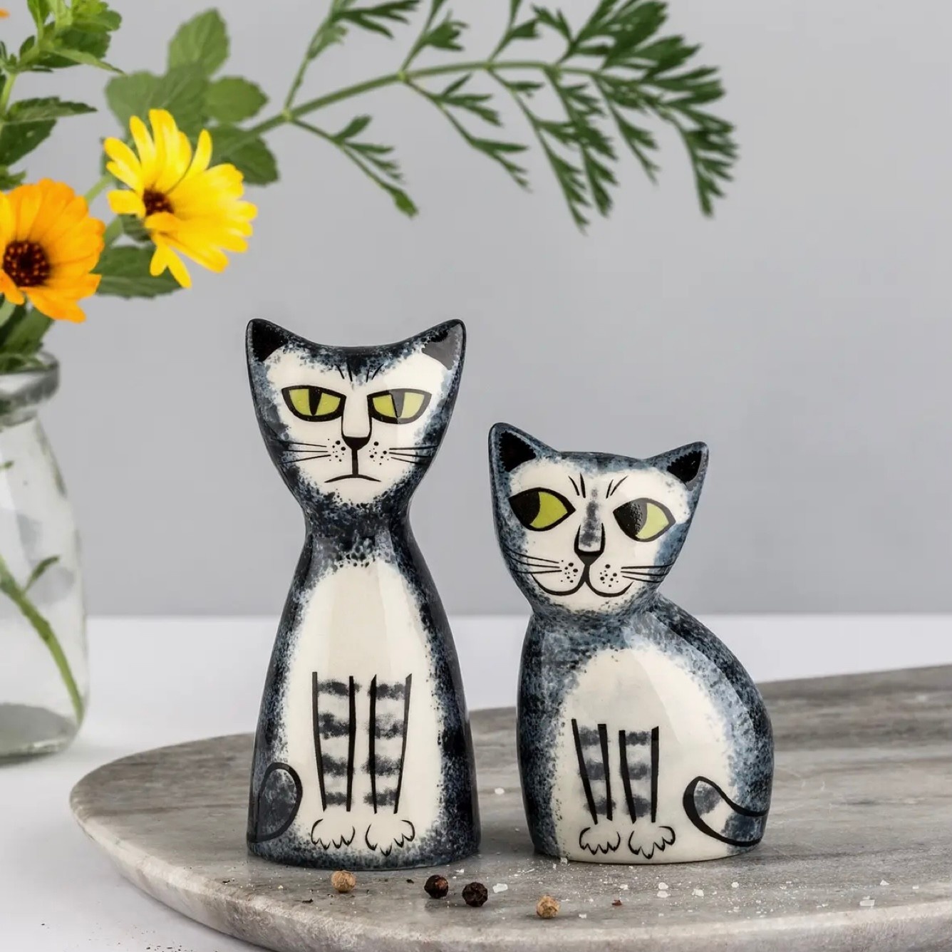 Hannah Turner Salt And Pepper Grey Tabby Cats
