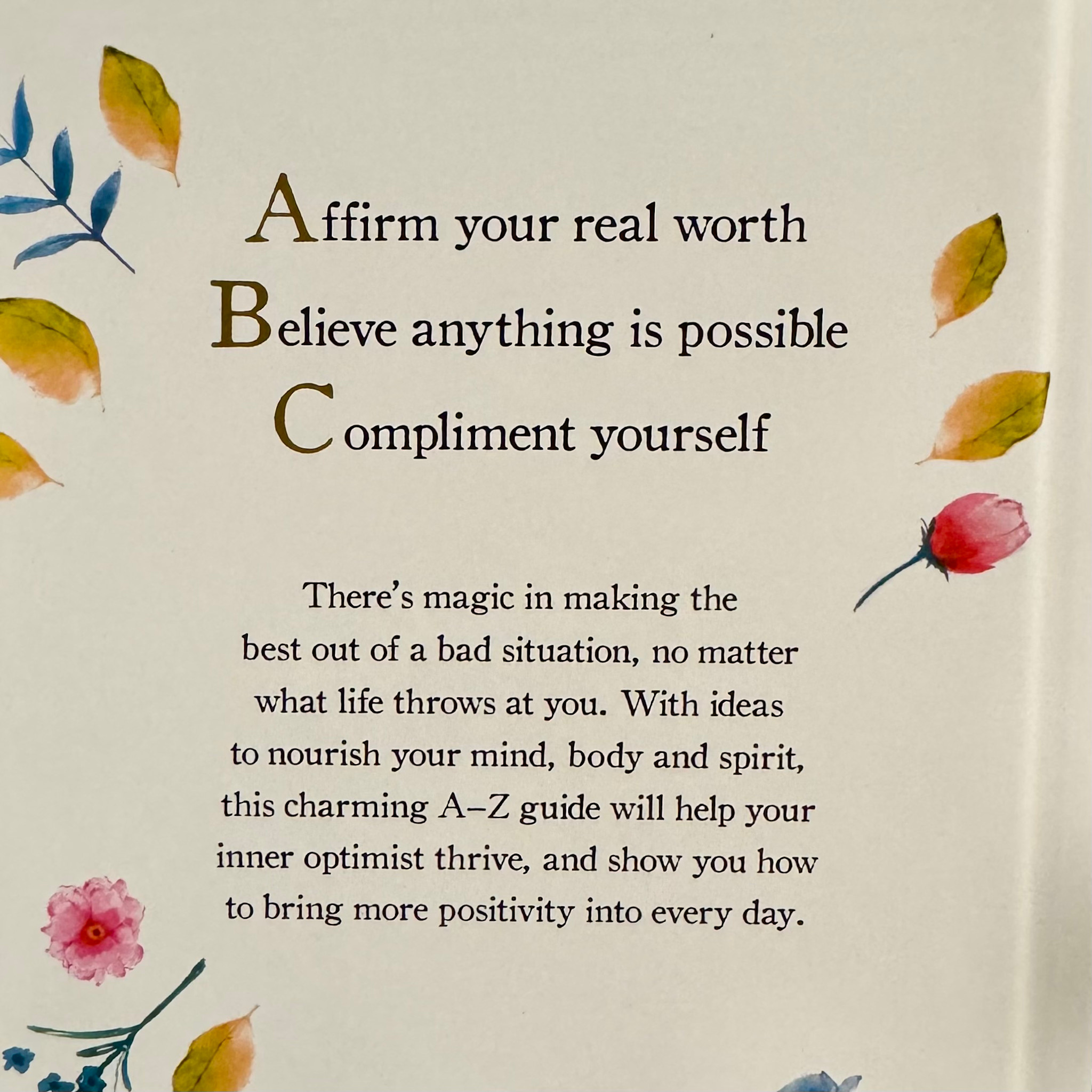 Laurence King The A-Z Of Positivity