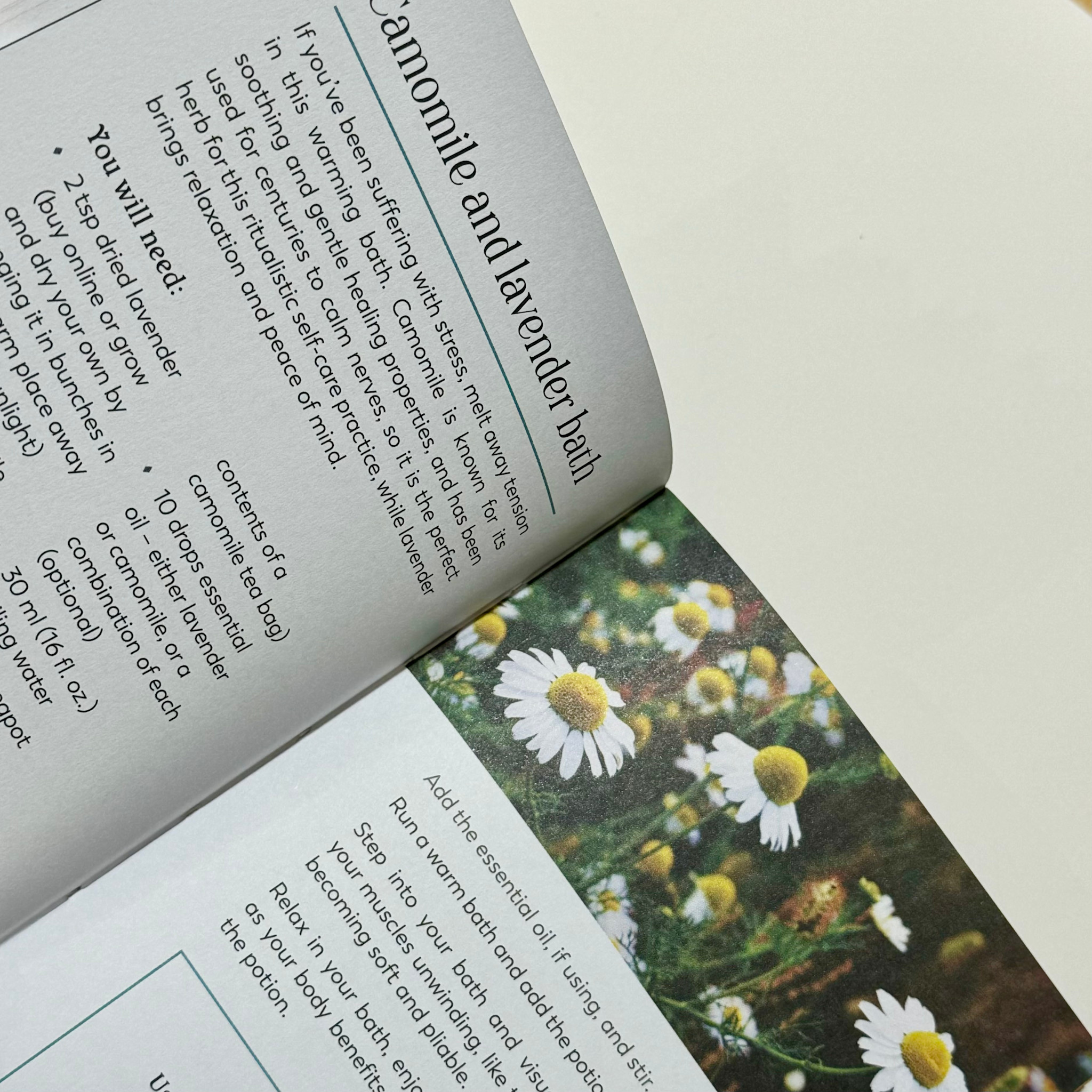 Laurence King Herbal Magic