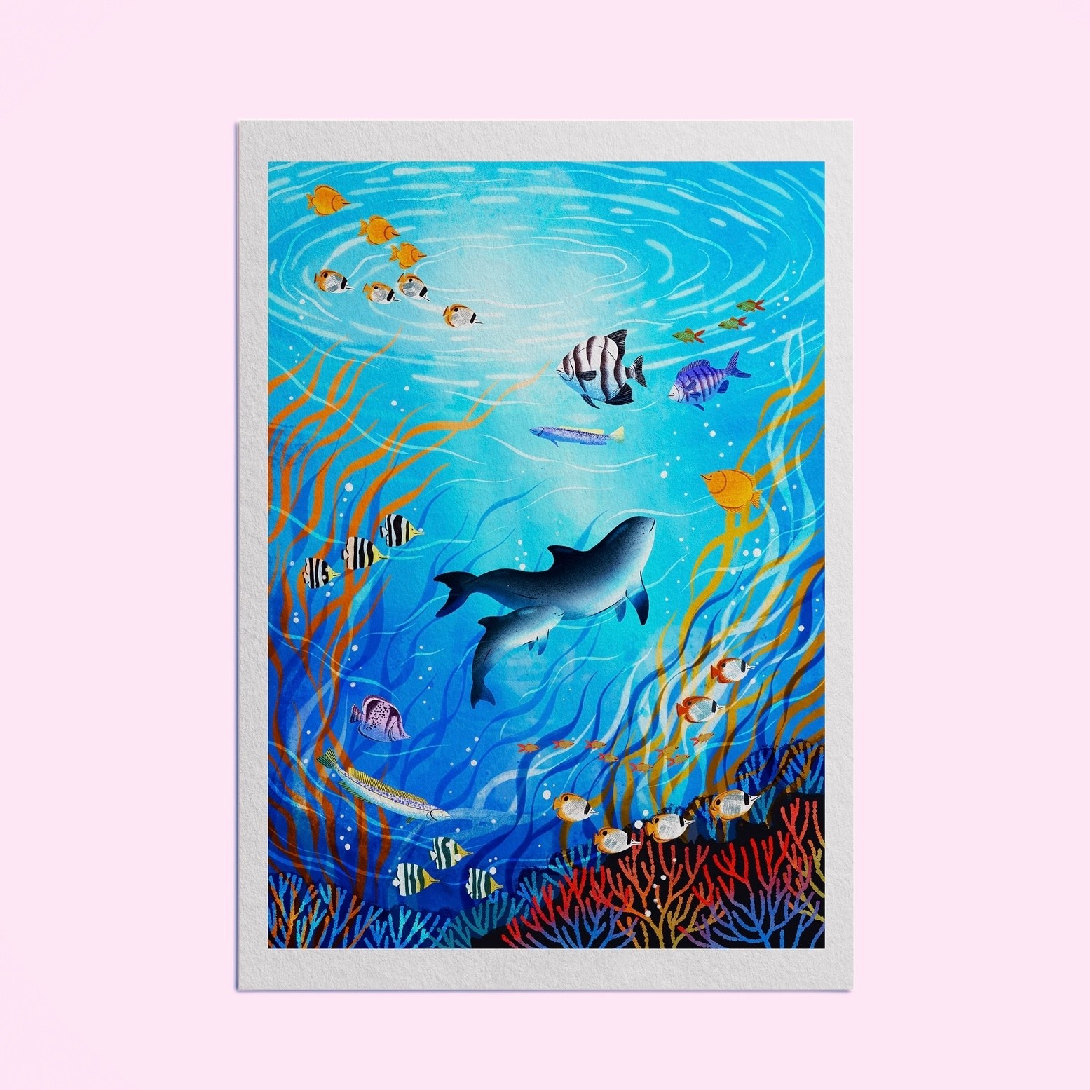 Hello Grimes Vaquita A4 Print