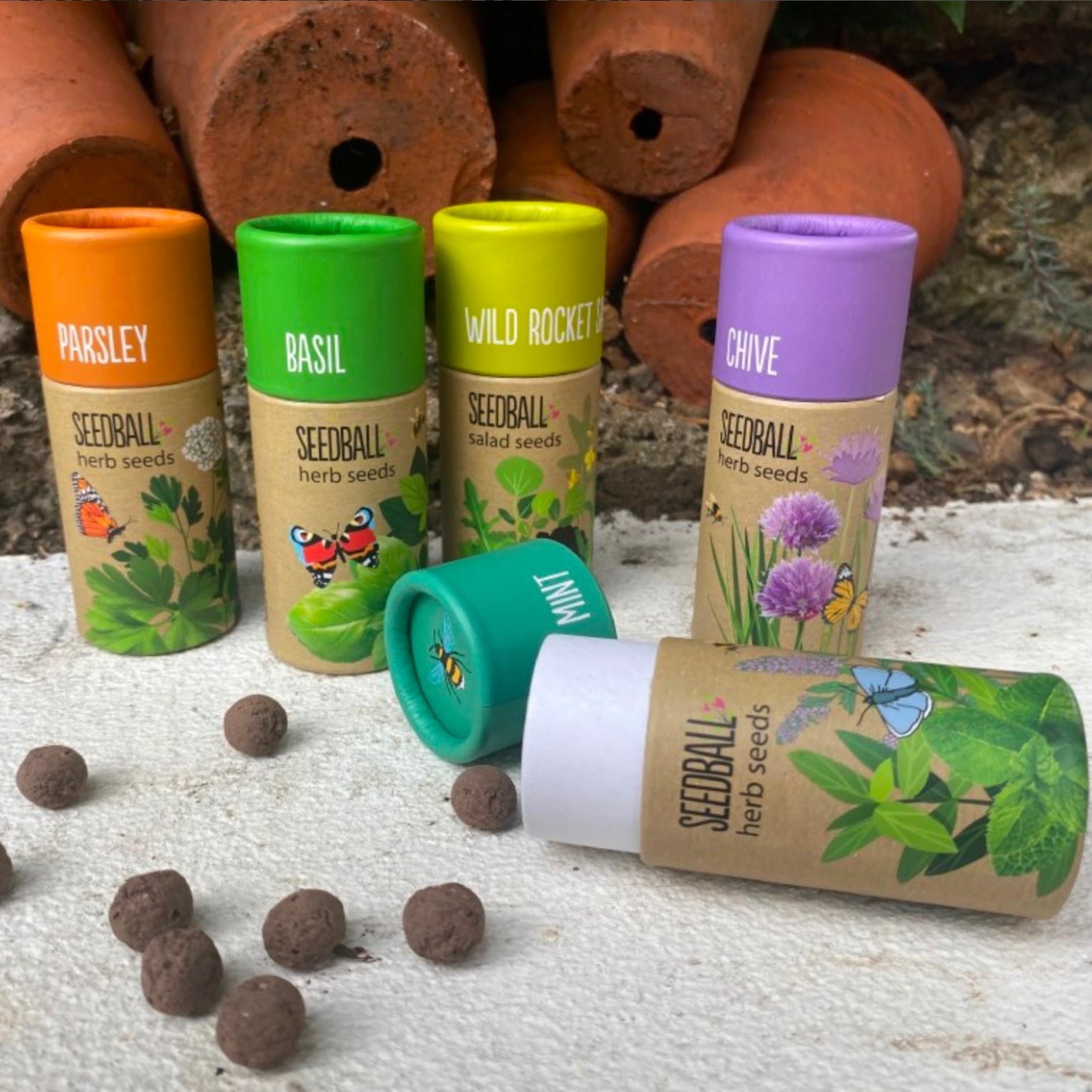 Seedball Seedball Tube Herb Collection