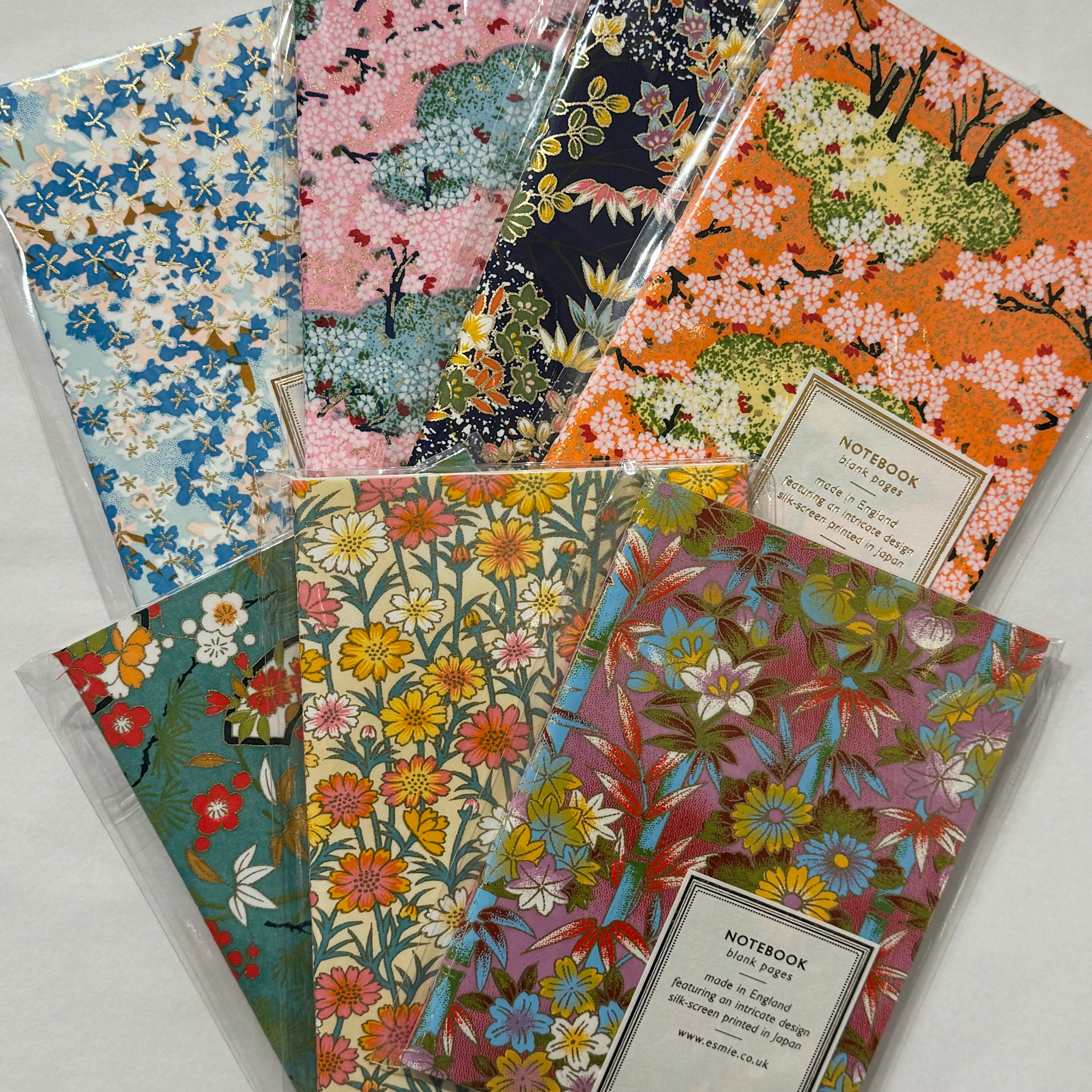 Esmie Small Blank Notebook