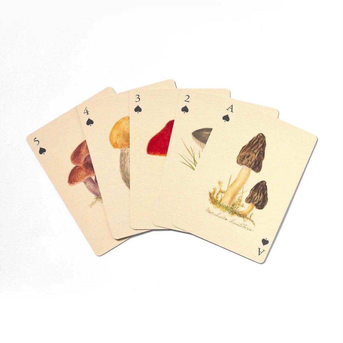 Fungi Playing Cards Double Set