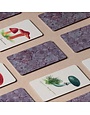Fungi Memory Game