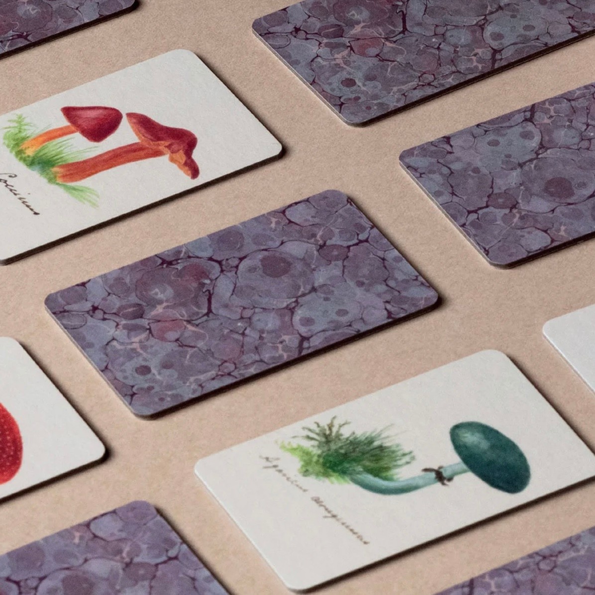 Fungi Memory Game