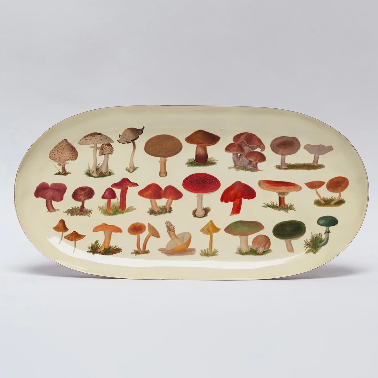 Oval Enamel Tray Fungi