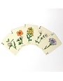 Wildflower Playing Cards
