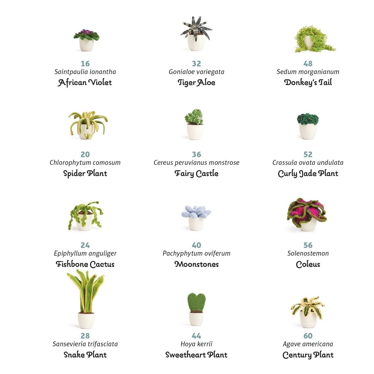 GMC Crocheted Houseplants