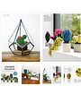 GMC Crocheted Succulents