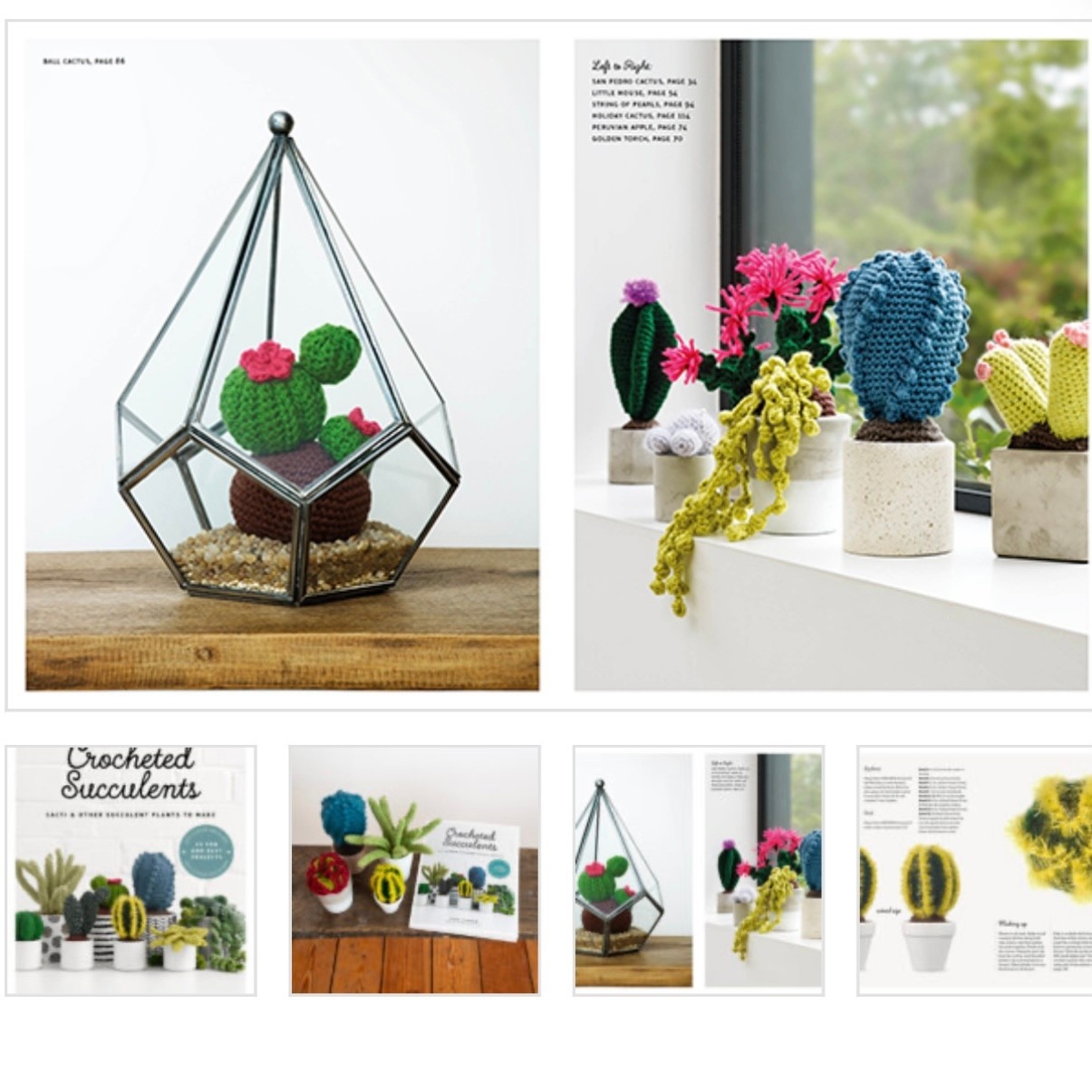 GMC Crocheted Succulents