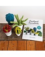 GMC Crocheted Succulents