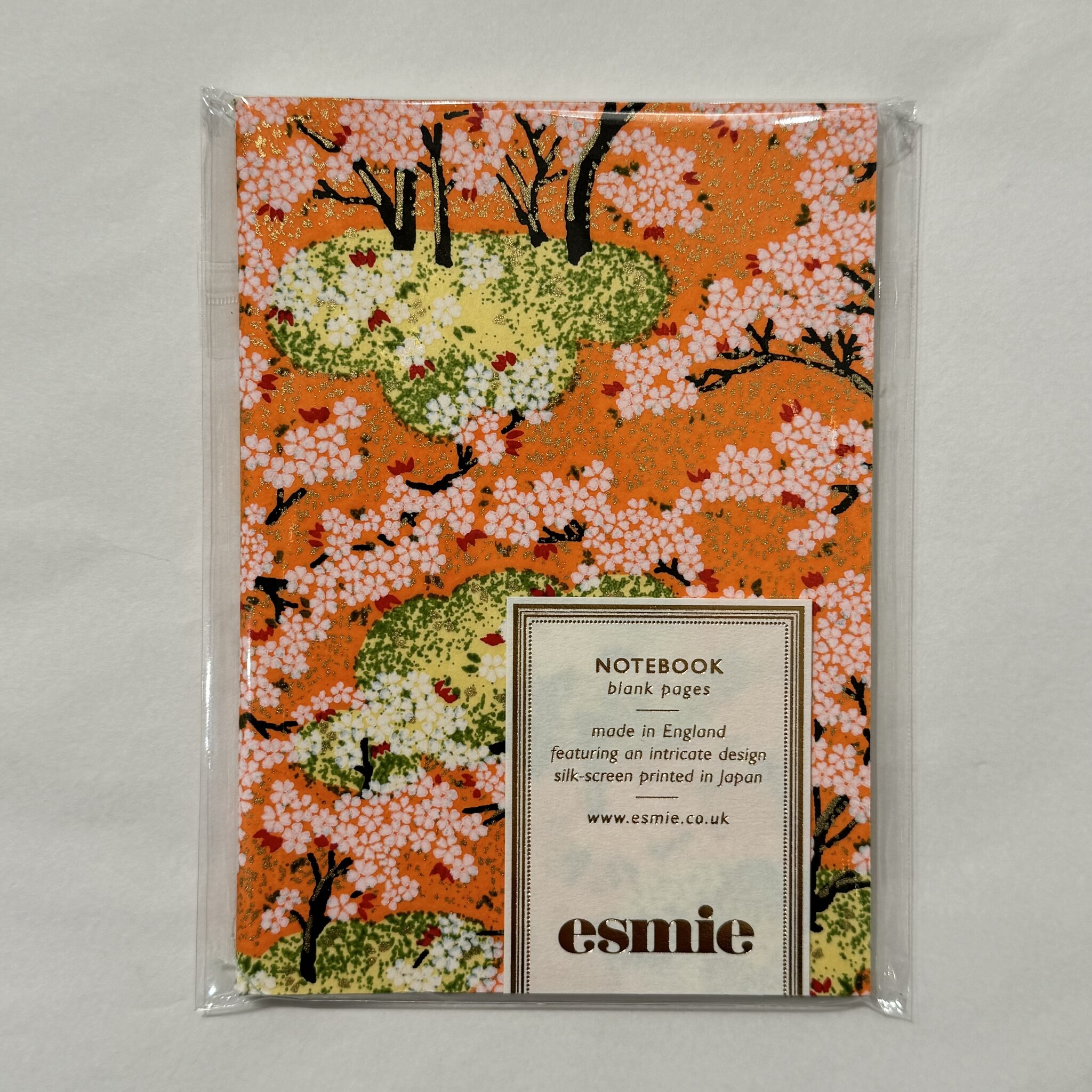 Esmie Small Blank Notebook