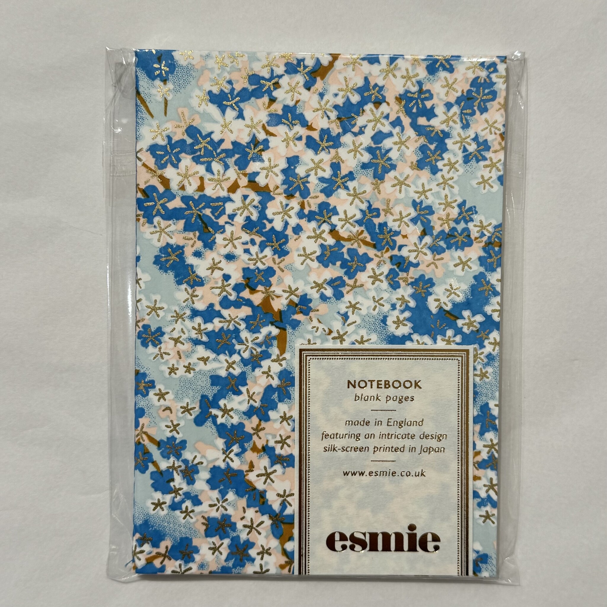 Esmie Small Blank Notebook