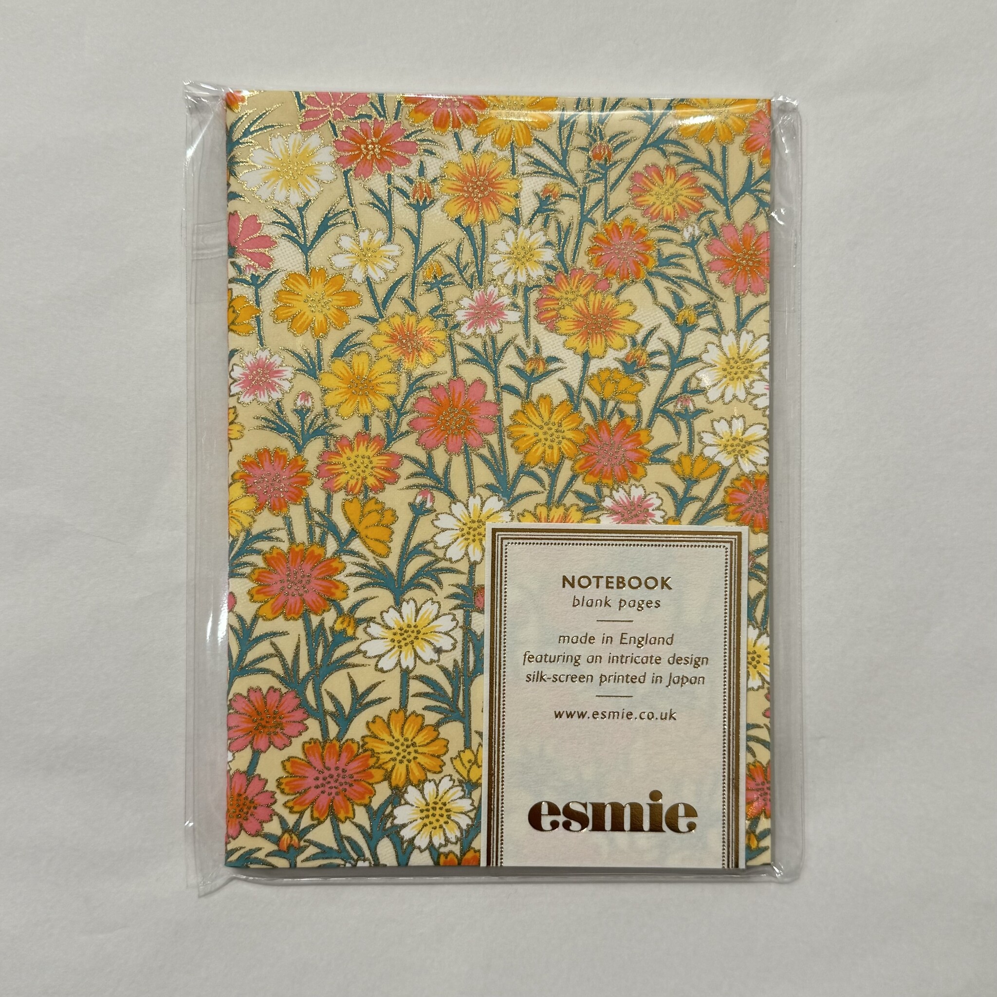 Esmie Small Blank Notebook