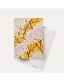 Esmie Card