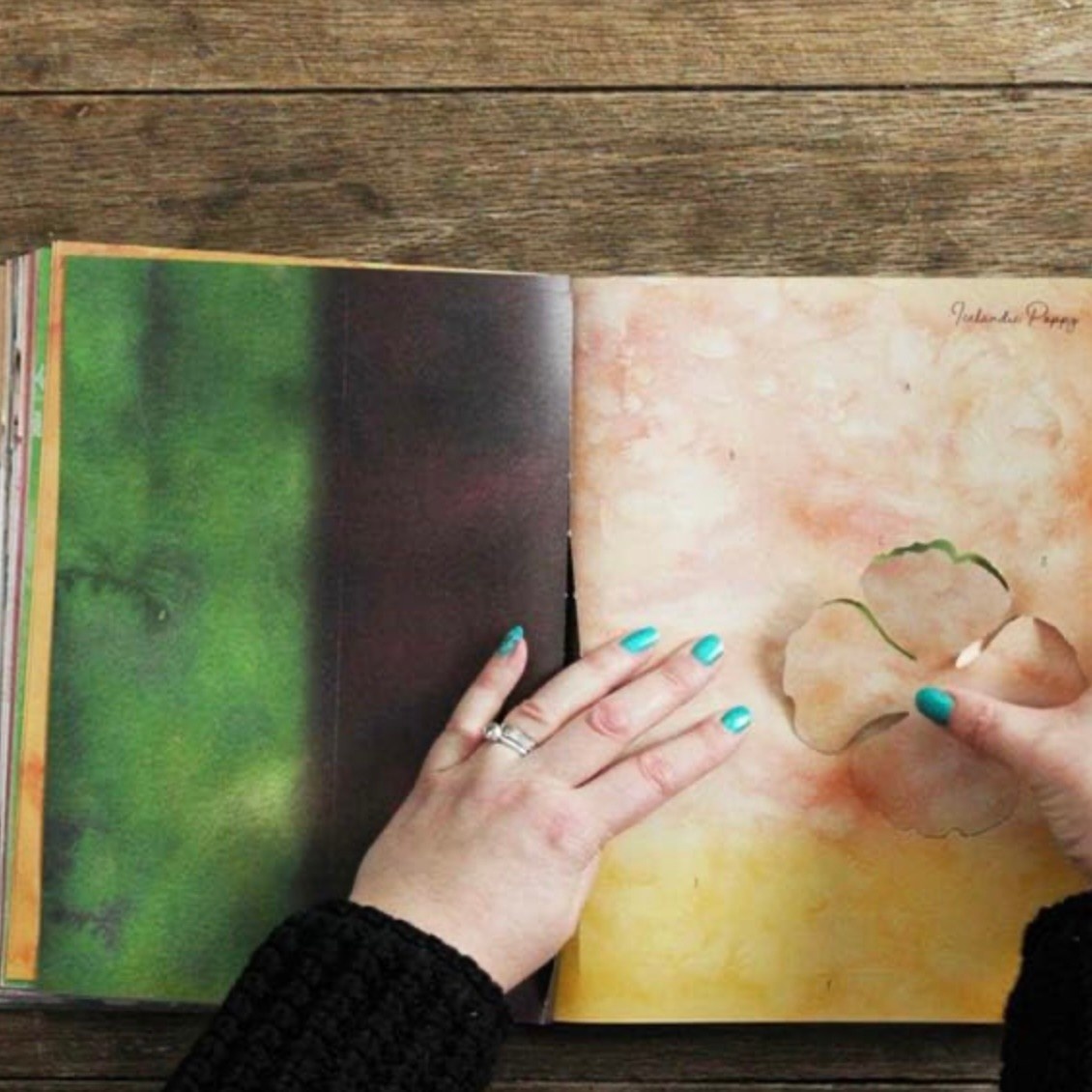 David & Charles The Bouquet In A Book