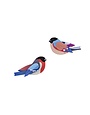 Studio Roof Garden Birds Finches