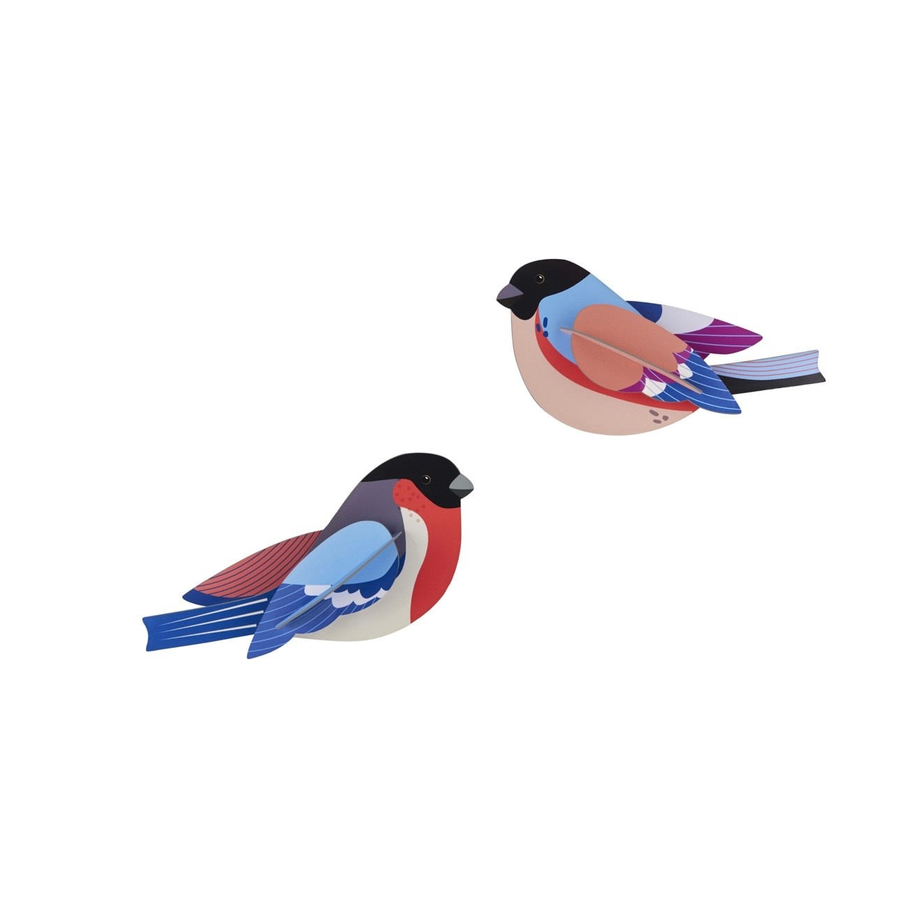 Studio Roof Garden Birds Finches