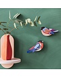Studio Roof Garden Birds Finches