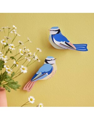 Studio Roof Garden Birds Blue Tits