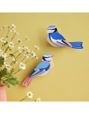 Studio Roof Garden Birds Blue Tits
