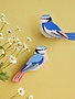Studio Roof Garden Birds Blue Tits