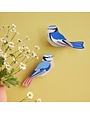 Studio Roof Garden Birds Blue Tits