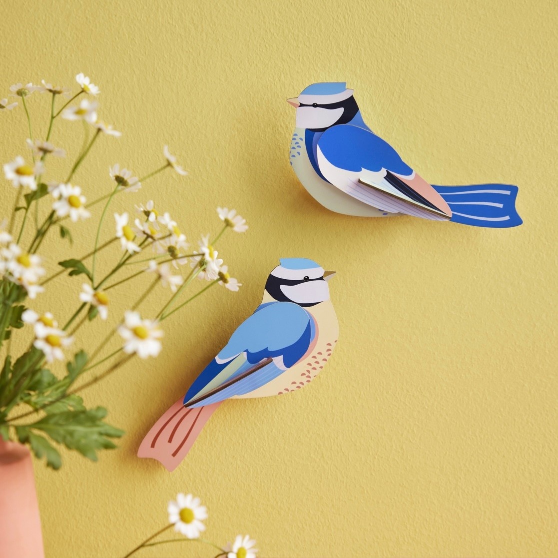 Studio Roof Garden Birds Blue Tits
