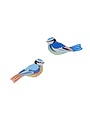 Studio Roof Garden Birds Blue Tits