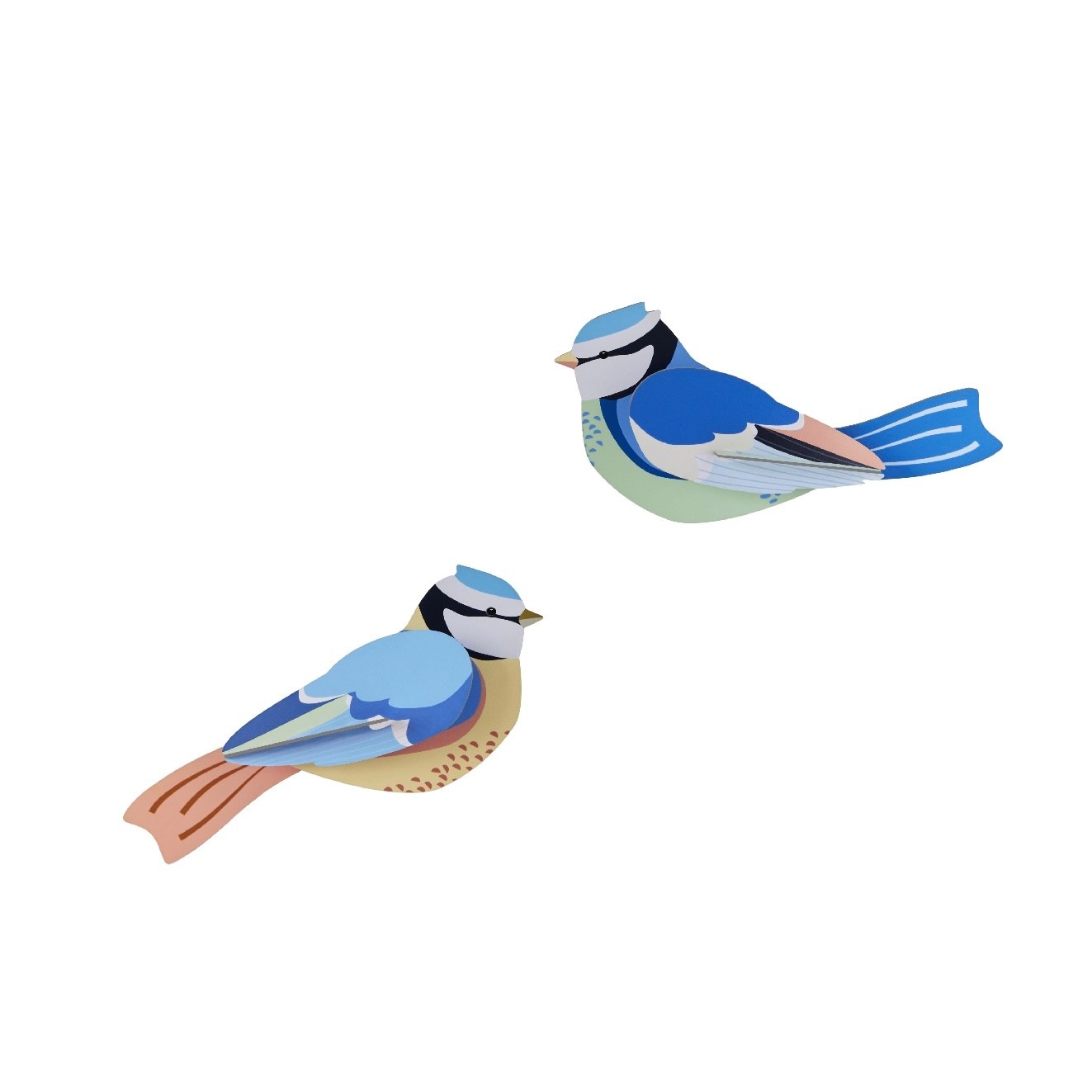 Studio Roof Garden Birds Blue Tits