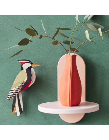 Studio Roof Garden Bird Woodpecker