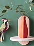 Studio Roof Garden Bird Woodpecker