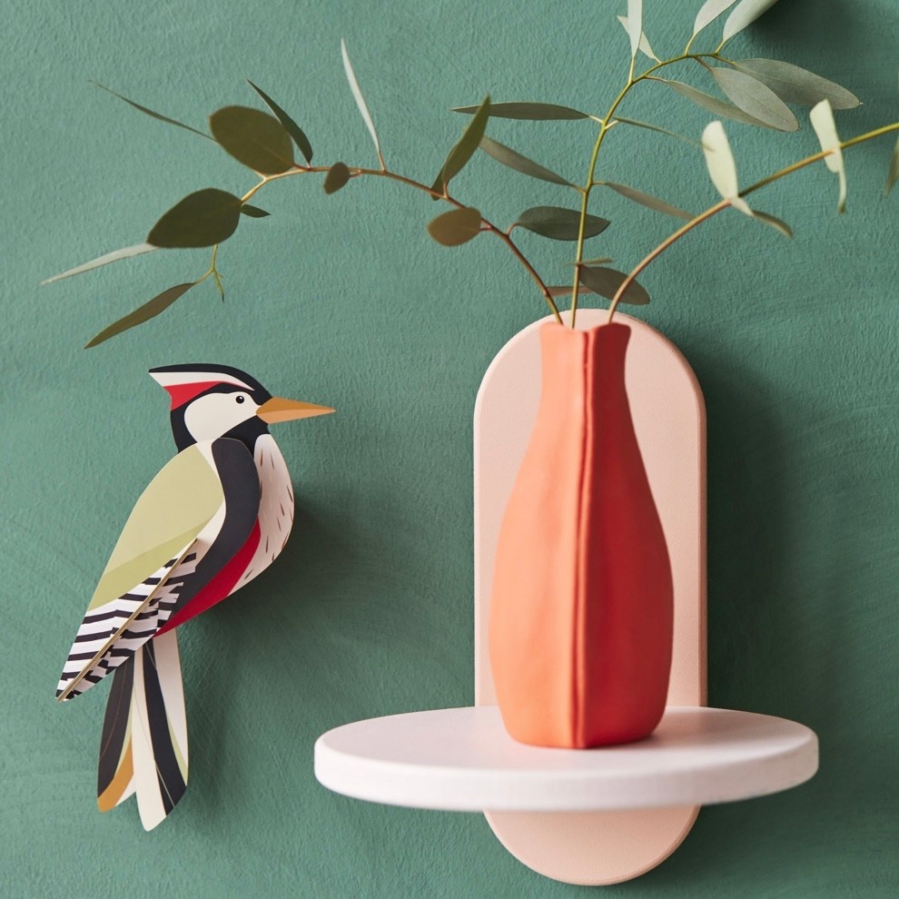 Studio Roof Garden Bird Woodpecker